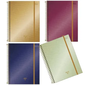 AGENDA ESP PLANNER WV MET M7 7891027314309