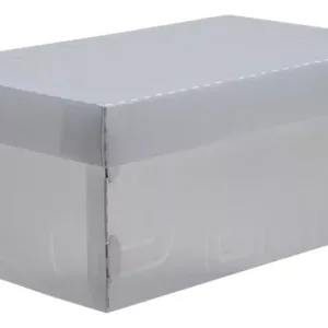 Caixa organizadora Top Fine Sapato 28x17x12cm.Cri - Dello