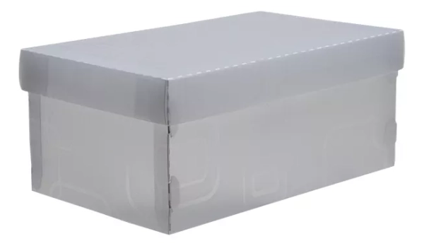 Caixa organizadora Top Fine Sapato 28x17x12cm.Cri - Dello