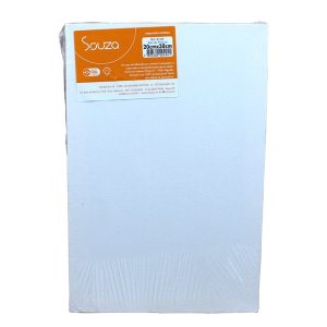 TELA P/PINTURA 20X30CM VIRADA SOUZA(E)