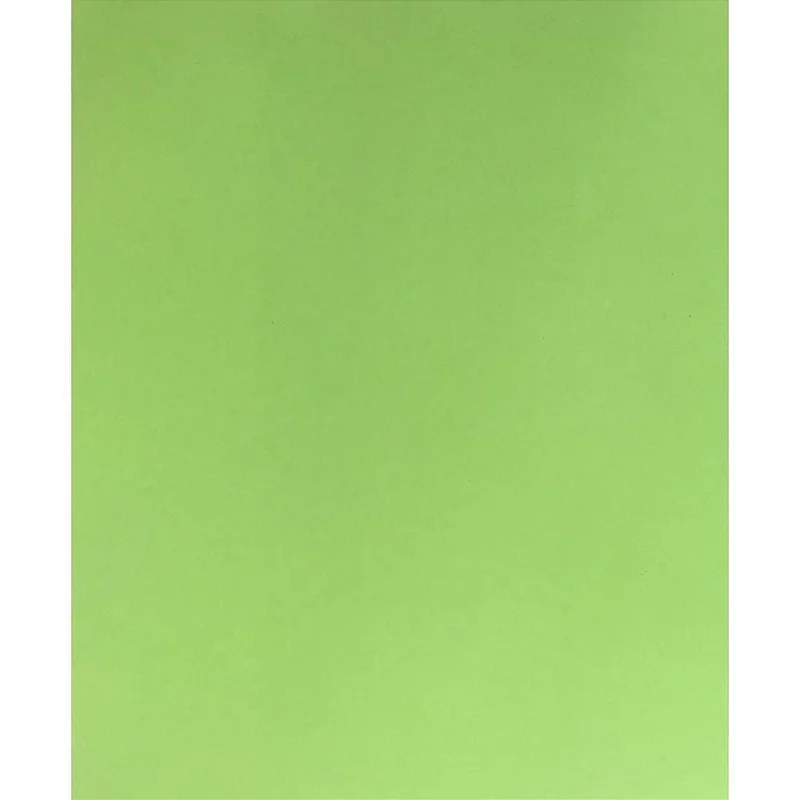 PLACA EM EVA 47X40CM VERDE GRAMA 1,8MM.  - DUBFLEX