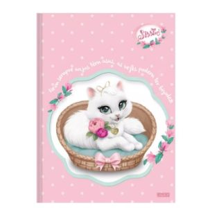 Caderno Brochurão desenho Sem Pauta Capa Dura Sissi 80Fls São Domingos